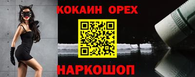 спиды Гай