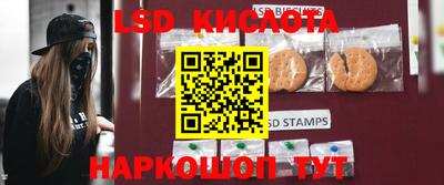 спиды Гай
