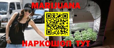 спиды Гай