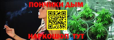 спиды Гай