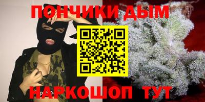 спиды Гай