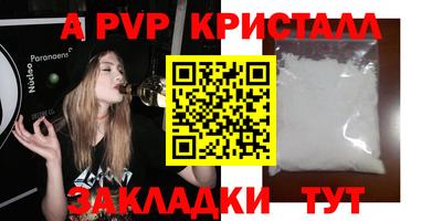 спиды Гай