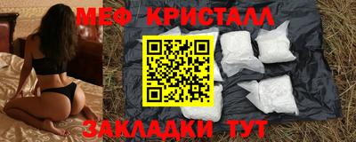 спиды Гай