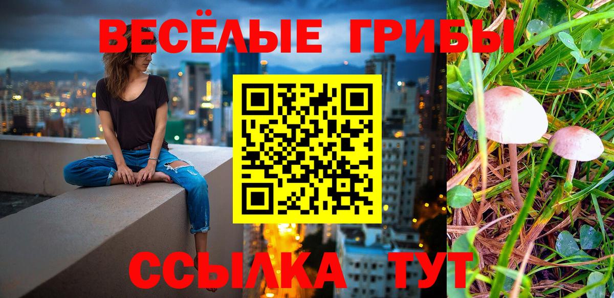 Галлюциногенные грибы прущие грибы  Вход с VPN  Сергиев Посад  Псилоцибиновые грибы прущие грибы 